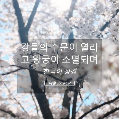 Picture 05 - 나훔 2:6 KOR - 강들의 수문이 열리고 왕궁이 - Bible Verse Picture