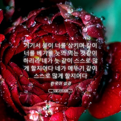Picture 05 - 나훔 3:15 KOR - 거기서 불이 너를 삼키며 칼이 너를 - Bible Verse Picture