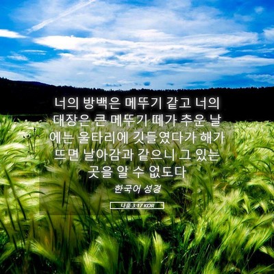 Picture 05 - 나훔 3:17 KOR - 너의 방백은 메뚜기 같고 너의 - Bible Verse Picture