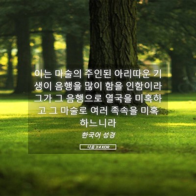 Picture 05 - 나훔 3:4 KOR - 이는 마술의 주인된 아리따운 기생이 - Bible Verse Picture