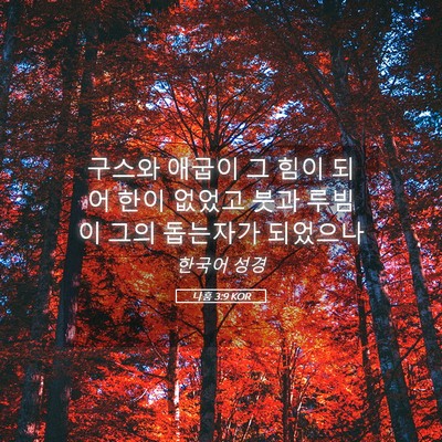 Picture 05 - 나훔 3:9 KOR - 구스와 애굽이 그 힘이 되어 한이 - Bible Verse Picture