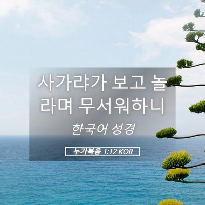 Picture 05 - 누가복음 1:12 KOR - 사가랴가 보고 놀라며 - Bible Verse Picture