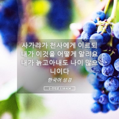 Picture 05 - 누가복음 1:18 KOR - 사가랴가 천사에게 이르되 내가 - Bible Verse Picture