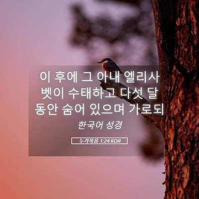 Picture 05 - 누가복음 1:24 KOR - 이 후에 그 아내 엘리사벳이 - Bible Verse Picture