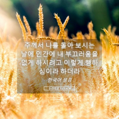 Picture 05 - 누가복음 1:25 KOR - 주께서 나를 돌아 보시는 날에 - Bible Verse Picture