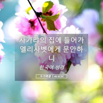Picture 05 - 누가복음 1:40 KOR - 사가랴의 집에 들어가 엘리사벳에게 - Bible Verse Picture