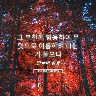 Picture 05 - 누가복음 1:62 KOR - 그 부친께 형용하여 무엇으로 - Bible Verse Picture