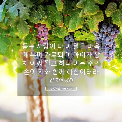 Picture 05 - 누가복음 1:66 KOR - 듣는 사람이 다 이 말을 마음에 두며 - Bible Verse Picture
