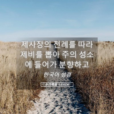 Picture 05 - 누가복음 1:9 KOR - 제사장의 전례를 따라 제비를 뽑아 - Bible Verse Picture