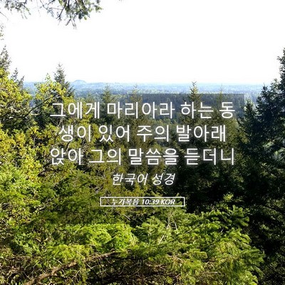 Picture 05 - 누가복음 10:39 KOR - 그에게 마리아라 하는 동생이 있어 - Bible Verse Picture