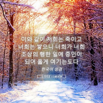 Picture 05 - 누가복음 11:48 KOR - 이와 같이 저희는 죽이고 너희는 - Bible Verse Picture