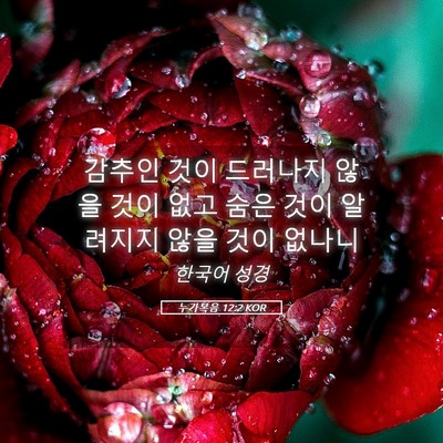 Picture 05 - 누가복음 12:2 KOR - 감추인 것이 드러나지 않을 것이 - Bible Verse Picture