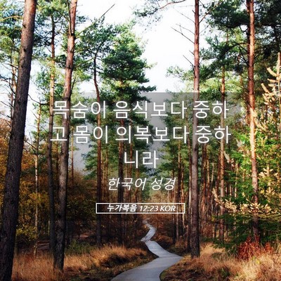Picture 05 - 누가복음 12:23 KOR - 목숨이 음식보다 중하고 몸이 - Bible Verse Picture