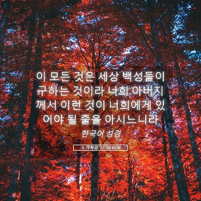 Picture 05 - 누가복음 12:30 KOR - 이 모든 것은 세상 백성들이 구하는 - Bible Verse Picture