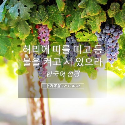 Picture 05 - 누가복음 12:35 KOR - 허리에 띠를 띠고 등불을 켜고 서 - Bible Verse Picture