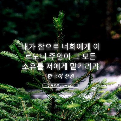 Picture 05 - 누가복음 12:44 KOR - 내가 참으로 너희에게 이르노니 - Bible Verse Picture