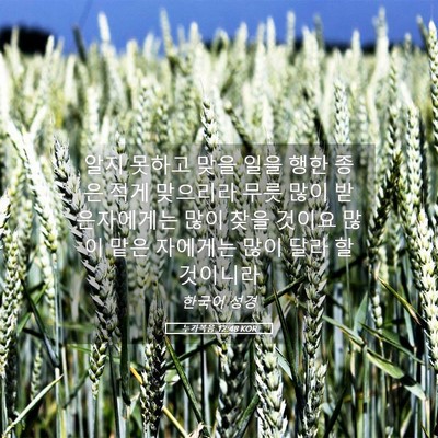 Picture 05 - 누가복음 12:48 KOR - 알지 못하고 맞을 일을 행한 종은 - Bible Verse Picture