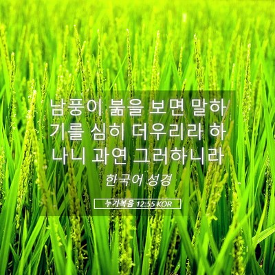 Picture 05 - 누가복음 12:55 KOR - 남풍이 붊을 보면 말하기를 심히 - Bible Verse Picture