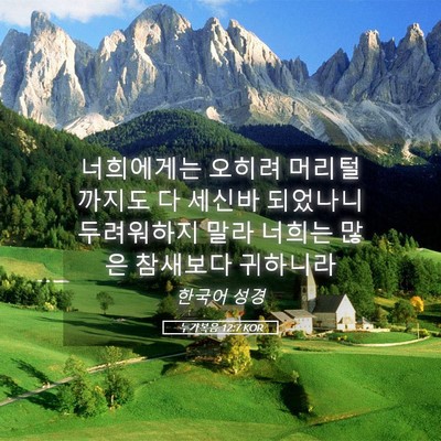 Picture 05 - 누가복음 12:7 KOR - 너희에게는 오히려 머리털까지도 다 - Bible Verse Picture