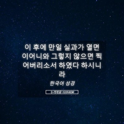 Picture 05 - 누가복음 13:9 KOR - 이 후에 만일 실과가 열면이어니와 - Bible Verse Picture