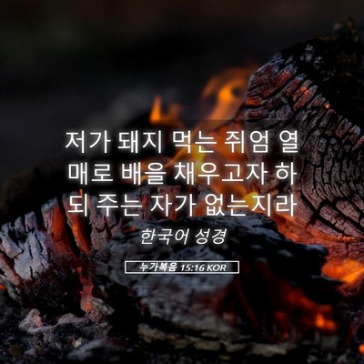 Picture 05 - 누가복음 15:16 KOR - 저가 돼지 먹는 쥐엄 열매로 배을 - Bible Verse Picture