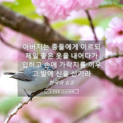 Picture 05 - 누가복음 15:22 KOR - 아버지는 종들에게 이르되 제일 좋은 - Bible Verse Picture