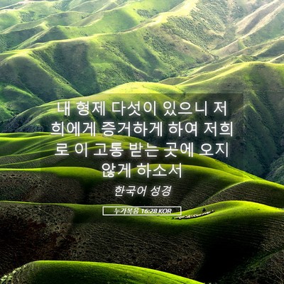 Picture 05 - 누가복음 16:28 KOR - 내 형제 다섯이 있으니 저희에게 - Bible Verse Picture