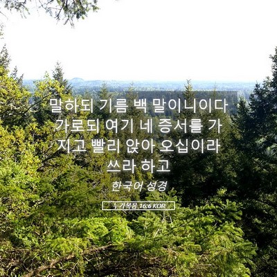 Picture 05 - 누가복음 16:6 KOR - 말하되 기름 백 말이니이다 가로되 - Bible Verse Picture