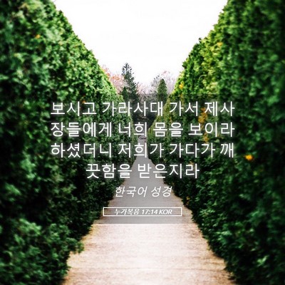 Picture 05 - 누가복음 17:14 KOR - 보시고 가라사대 가서 제사장들에게 - Bible Verse Picture