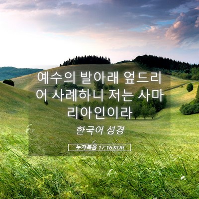 Picture 05 - 누가복음 17:16 KOR - 예수의 발아래 엎드리어 사례하니 - Bible Verse Picture