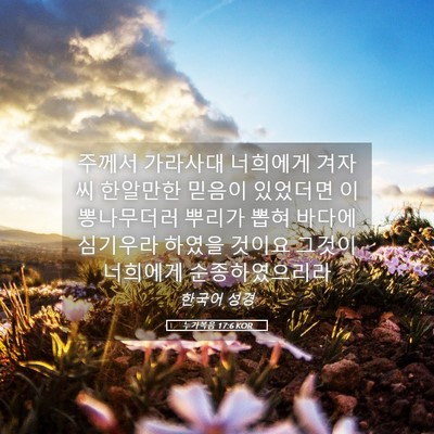 Picture 05 - 누가복음 17:6 KOR - 주께서 가라사대 너희에게 겨자씨 - Bible Verse Picture