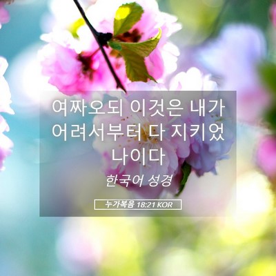 Picture 05 - 누가복음 18:21 KOR - 여짜오되 이것은 내가 어려서부터 다 - Bible Verse Picture