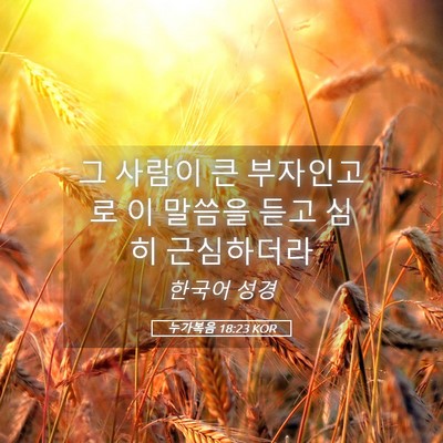 Picture 05 - 누가복음 18:23 KOR - 그 사람이 큰 부자인고로 이 말씀을 - Bible Verse Picture