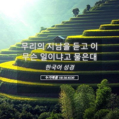 Picture 05 - 누가복음 18:36 KOR - 무리의 지남을 듣고 이 무슨 - Bible Verse Picture