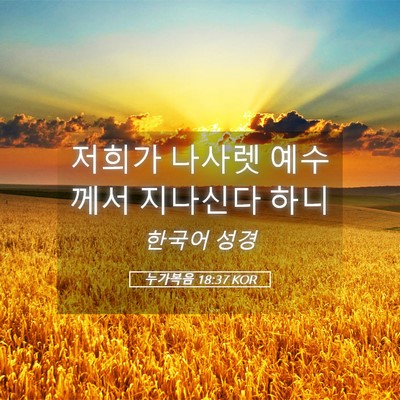 Picture 05 - 누가복음 18:37 KOR - 저희가 나사렛 예수께서 지나신다 - Bible Verse Picture