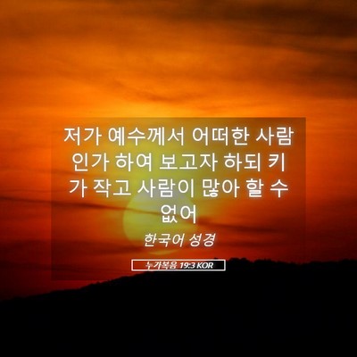 Picture 05 - 누가복음 19:3 KOR - 저가 예수께서 어떠한 사람인가 하여 - Bible Verse Picture
