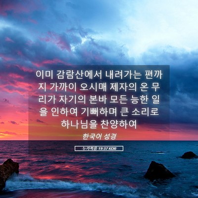 Picture 05 - 누가복음 19:37 KOR - 이미 감람산에서 내려가는 편까지 - Bible Verse Picture