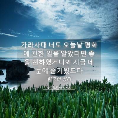 Picture 05 - 누가복음 19:42 KOR - 가라사대 너도 오늘날 평화에 관한 - Bible Verse Picture