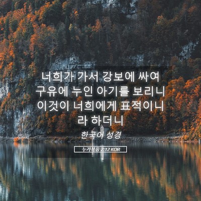 Picture 05 - 누가복음 2:12 KOR - 너희가 가서 강보에 싸여 구유에 - Bible Verse Picture