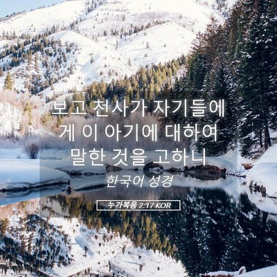Picture 05 - 누가복음 2:17 KOR - 보고 천사가 자기들에게 이 아기에 - Bible Verse Picture