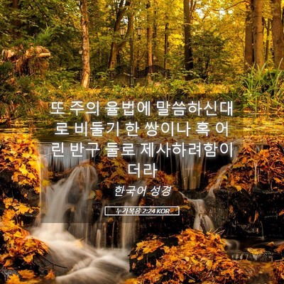 Picture 05 - 누가복음 2:24 KOR - 또 주의 율법에 말씀하신대로 비둘기 - Bible Verse Picture