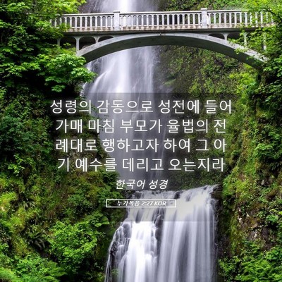 Picture 05 - 누가복음 2:27 KOR - 성령의 감동으로 성전에 들어가매 - Bible Verse Picture