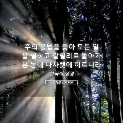 Picture 05 - 누가복음 2:39 KOR - 주의 율법을 좇아 모든 일을 필하고 - Bible Verse Picture