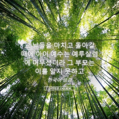 Picture 05 - 누가복음 2:43 KOR - 그 날들을 마치고 돌아갈 때에 아이 - Bible Verse Picture