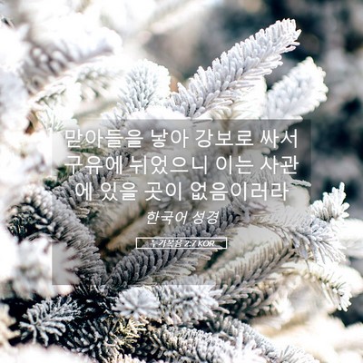 Picture 05 - 누가복음 2:7 KOR - 맏아들을 낳아 강보로 싸서 구유에 - Bible Verse Picture