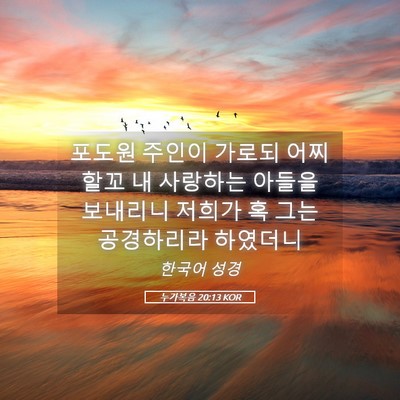 Picture 05 - 누가복음 20:13 KOR - 포도원 주인이 가로되 어찌할꼬 내 - Bible Verse Picture