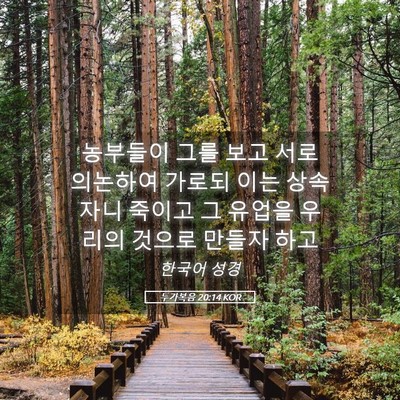 Picture 05 - 누가복음 20:14 KOR - 농부들이 그를 보고 서로 의논하여 - Bible Verse Picture
