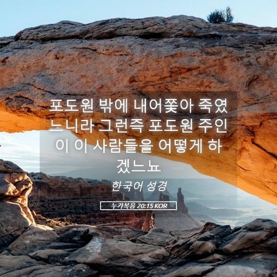 Picture 05 - 누가복음 20:15 KOR - 포도원 밖에 내어쫓아 죽였느니라 - Bible Verse Picture