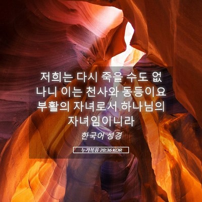 Picture 05 - 누가복음 20:36 KOR - 저희는 다시 죽을 수도 없나니 이는 - Bible Verse Picture