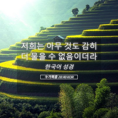 Picture 05 - 누가복음 20:40 KOR - 저희는 아무 것도 감히 더 물을 수 - Bible Verse Picture
